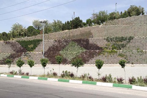 دیوار سبز عمودی
