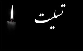 ریس شورای شهر کرج درگذشت مادر شهید همت را تسلیت گفت