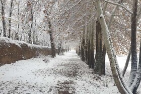 باغستان برفی - کراپشده