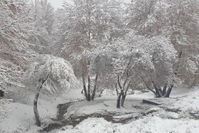 باغستان برفی - کراپشده