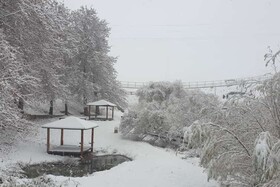 باغستان برفی - کراپشده