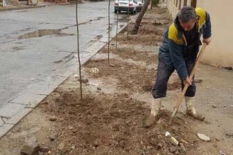 کاشت نهال بهجای سبدهای زباله جمعآوریشده در شهر کرج کاشت نهال - کراپشده