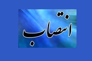 جانشین معاونت مالی و اقتصادی شهرداری کرج معرفی شد