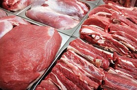 توزیع ۲ تن گوشت گرم وارداتی در بازار روزهای شهر کرج