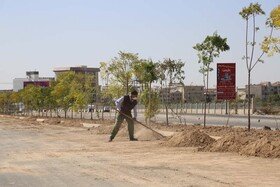 عملیات کاشت درخت در کنارگذر مهرشهر پایان یافت