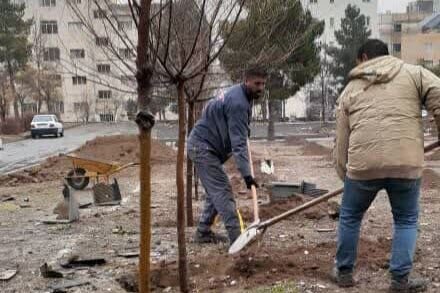 کاشت بیش از ۱۰۰۰ اصله نهال در منطقه هشت 99 - کراپشده