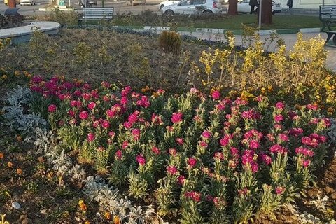 منطقه ۹ با کاشت ۸۰۰۰ اصله نهال به استقبال بهار رفت  استقبال از بهار - کراپشده