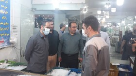 دکتر عباسی نماینده مجلس از بازار روزهای لاله و شاهین ویلا بازدید کرد