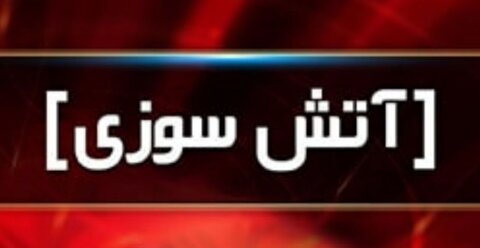 حادثه آتش سوزی ساختمان ۱۰ طبقه آتش سوزی - کراپشده