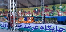 گزارش تصویری/جایگاه های موقت عرضه مستقیم میوه شب عید در شهر کرج