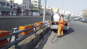 تداوم اجرای طرح جهادی پاکسازی محلات در منطقه ۹ کرج