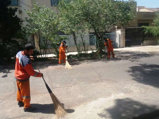 شهرک نهال و بذر در منطقه 9 کرج پاکسازی شد