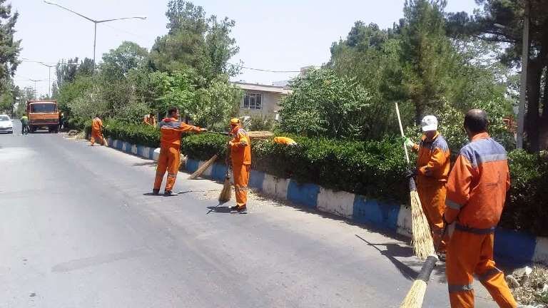 شهرک نهال و بذر در منطقه 9 کرج پاکسازی شد