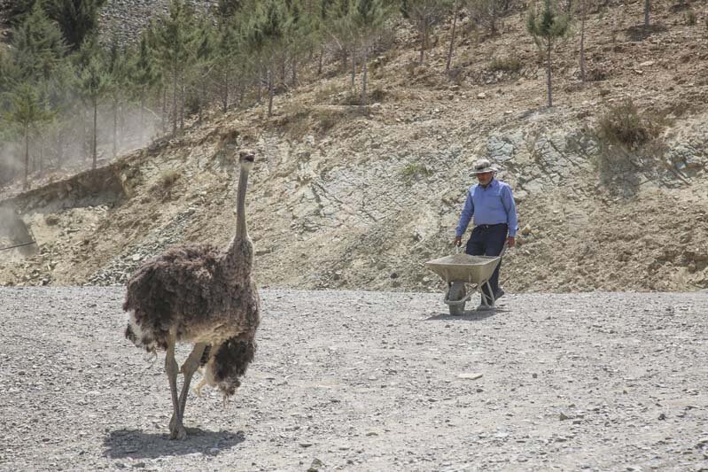 فاز دوم پارک محیطبان تکمیل میشود