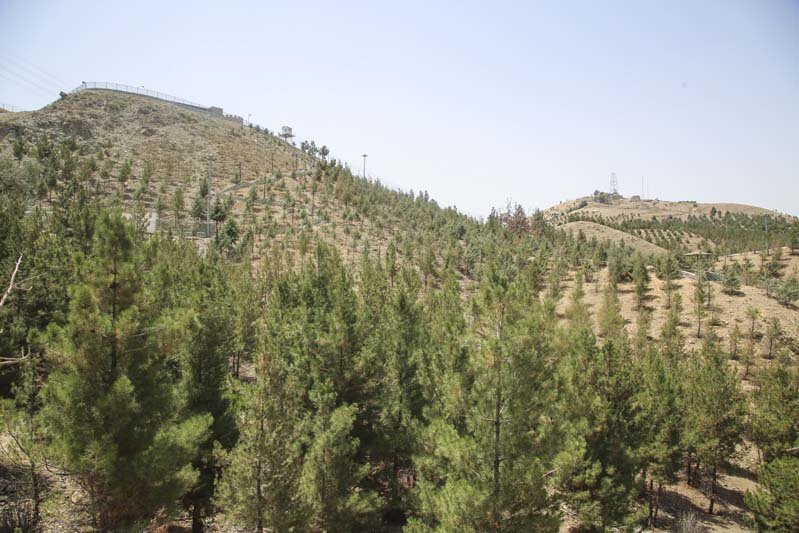 فاز دوم پارک محیطبان تکمیل میشود