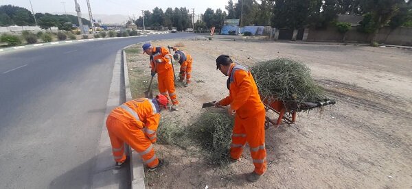 هفتمین مرحله طرح محله محور پاکداشت شهر در منطقه ۵ کرج اجرا شد