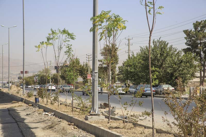 عملیات احداث فضای سبز در حاشیه جاده قزلحصار