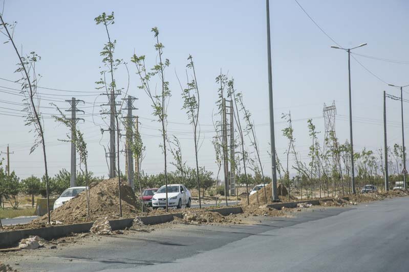 عملیات احداث فضای سبز در حاشیه جاده قزلحصار