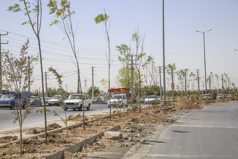 عملیات احداث فضای سبز در حاشیه جاده قزلحصار
