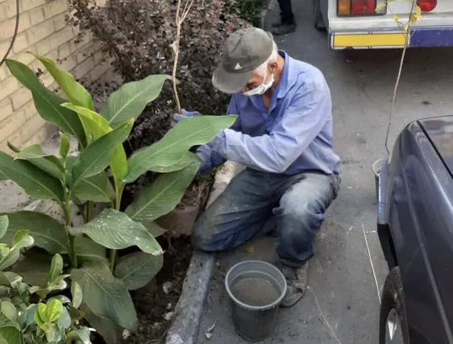 فضای سبز مدارس منطقه ۸ کرج آماده سازی شد