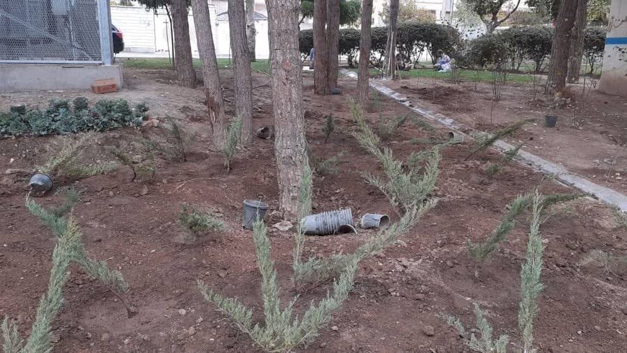 فضای سبز مدارس منطقه ۸ کرج آماده سازی شد