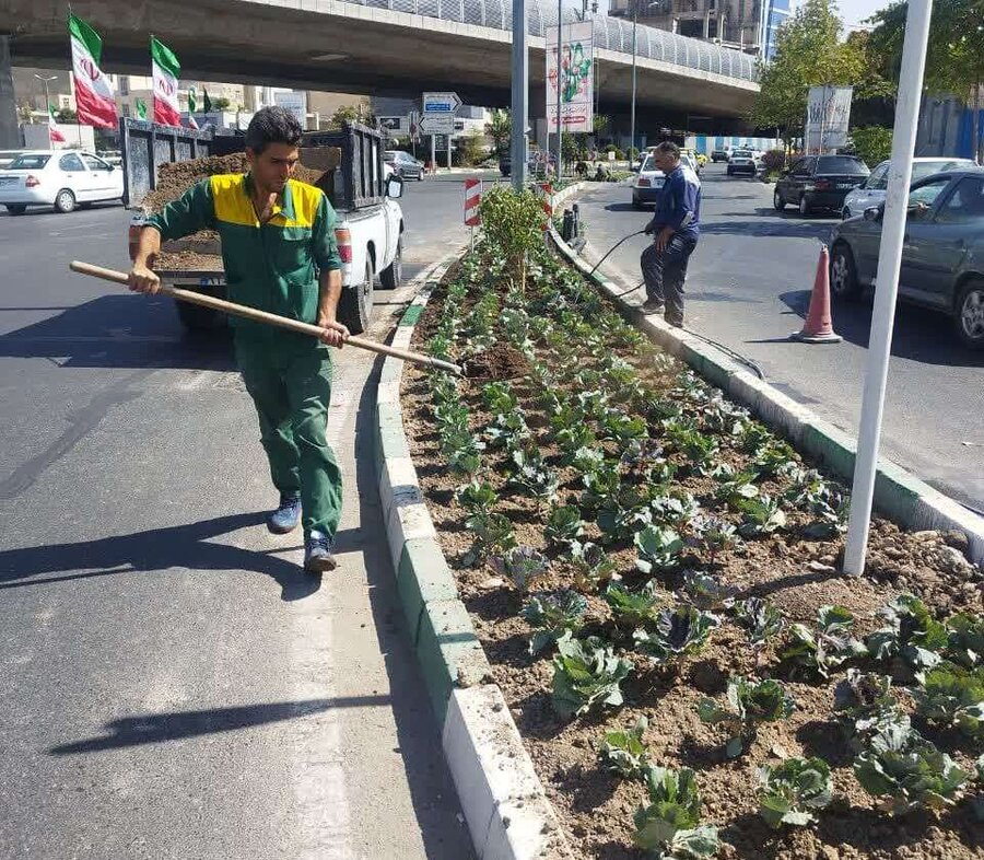 کاشت ۹ هزار بوته از انواع گلهای فصلی در عرصه فضای سبز منطقه ۹ کرج