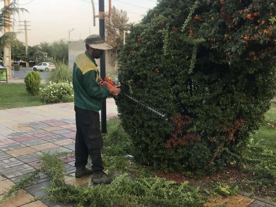 کاشت ۳۰ هزار بوته گل فصلی در معابر منطقه ۶ کرج