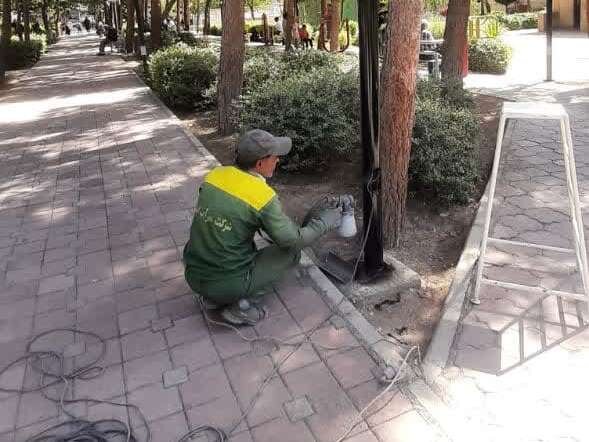 کاشت ۳۰ هزار بوته گل فصلی در معابر منطقه ۶ کرج