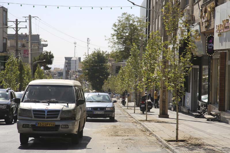 ایجاد طراوت با کاشت ۱۲۰ اصله درخت چنار در پیاده راه رجایی شهر