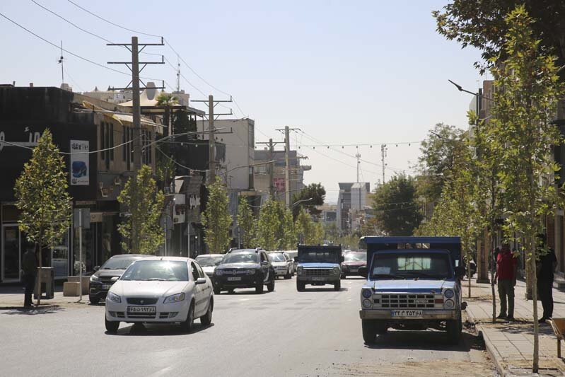 ایجاد طراوت با کاشت ۱۲۰ اصله درخت چنار در پیاده راه رجایی شهر