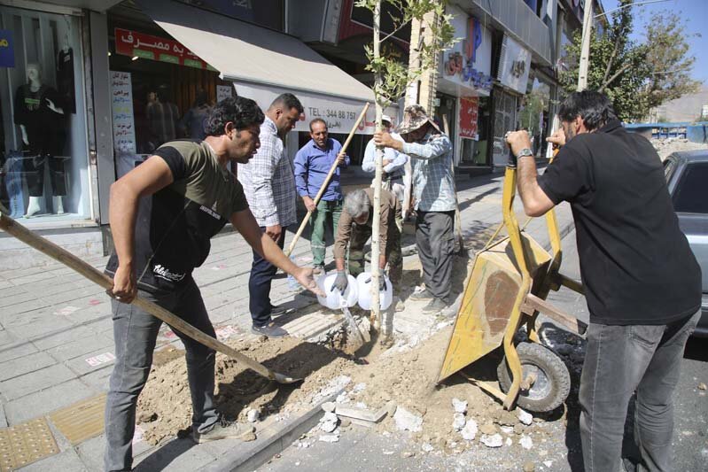 ایجاد طراوت با کاشت ۱۲۰ اصله درخت چنار در پیاده راه رجایی شهر