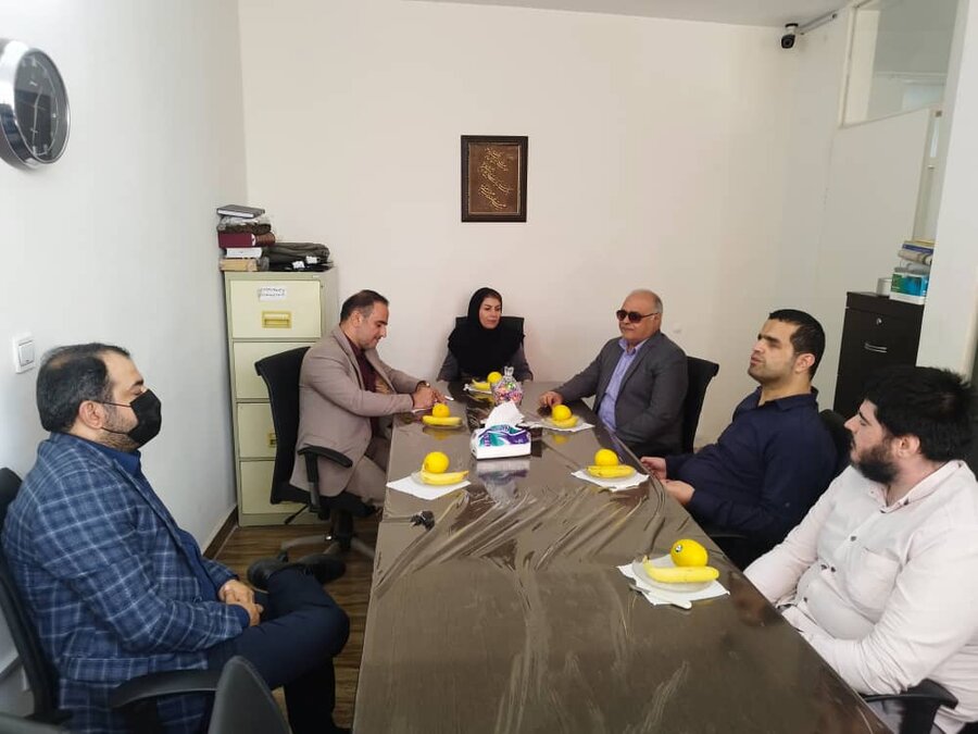 سامانه حمل و نقل عمومی ون، ویژه معلولین و نابینایان در دست اقدام است