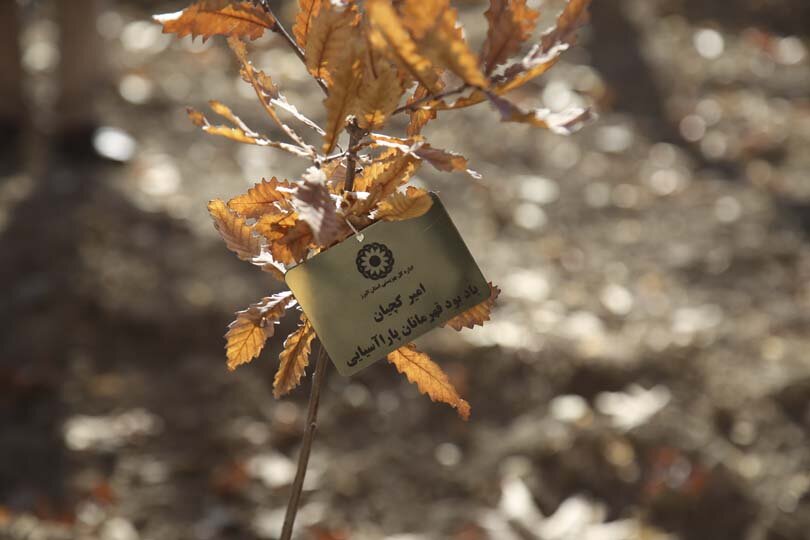 قهرمانان پارالمپیک در باغ فاتح کرج نهال کاشتند