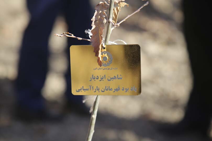 قهرمانان پارالمپیک در باغ فاتح کرج نهال کاشتند