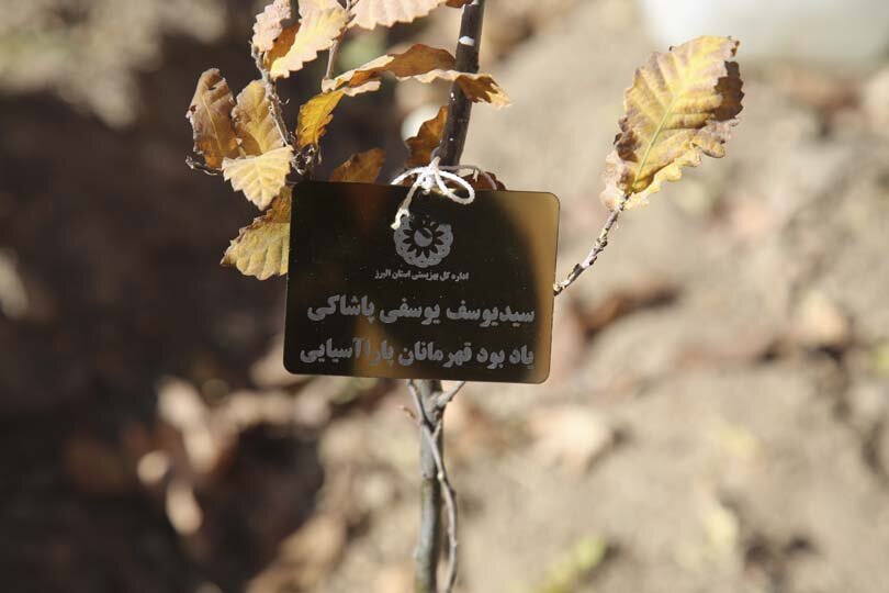 قهرمانان پارالمپیک در باغ فاتح کرج نهال کاشتند