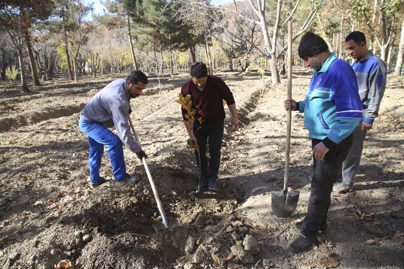 قهرمانان پارالمپیک در باغ فاتح کرج نهال کاشتند