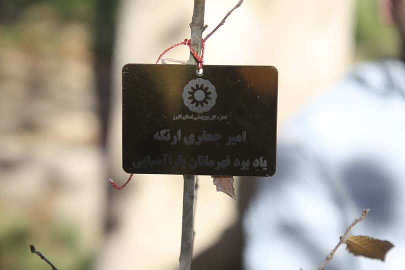 قهرمانان پارالمپیک در باغ فاتح کرج نهال کاشتند