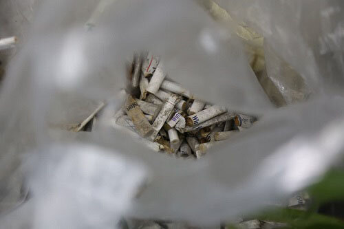 پویش "نه به ته سیگار" برگزار شد