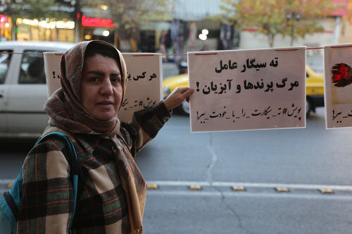 پویش "نه به ته سیگار" برگزار شد