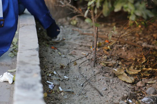 پویش "نه به ته سیگار" برگزار شد