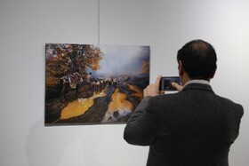 نمایشگاه عکس پاییزی صدای پای خزان