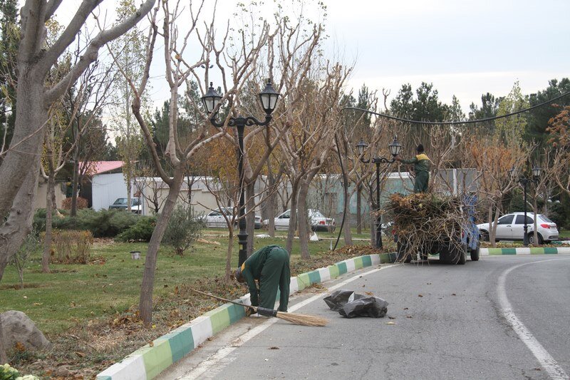 درختان بهشت سکینه(س) کرج هرس شدند