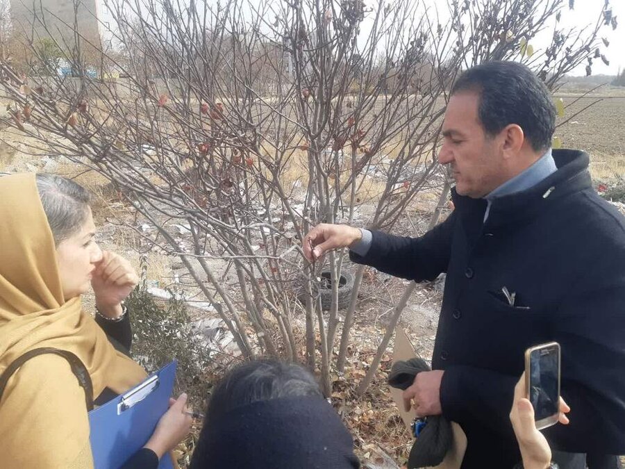 شهروندان با هرس درختان آشنا شدند