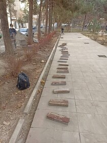 اجرای عملیات نصب کفپوش مسیر تندرستی پارک فیروزبخت