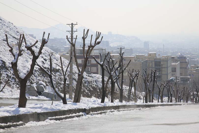 هیچ درختی در مسیر اجرای بی آر تی قطع نمیشود