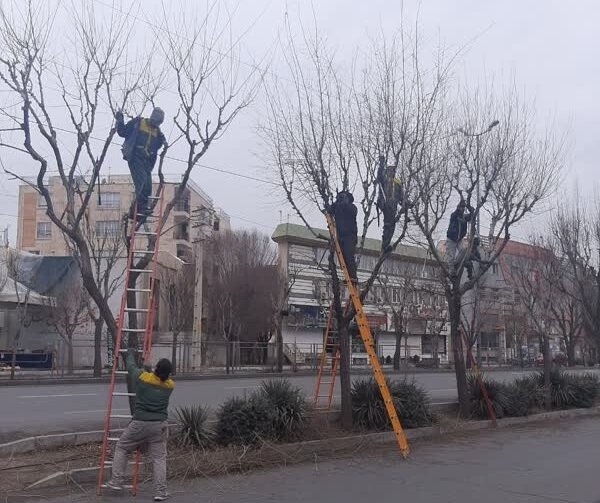 هرس و بازپیرایی زمستانه درختان در منطقه ۳ کرج