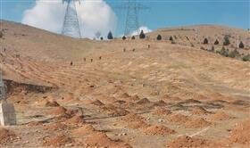 دهکده تفریحی باغستان میزبان مراسم روز درختکاری است مراسم درختکاری