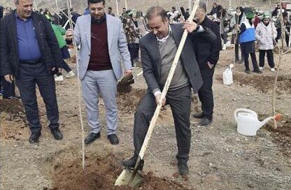 بیش از ۴ هکتار جنگلکاری در کرج روز درختکاری - کراپشده