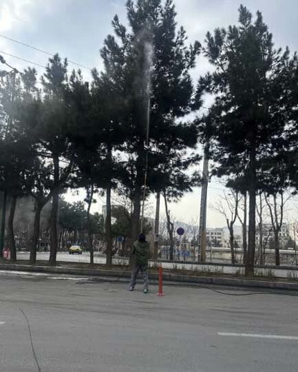 پایان عملیات سمپاشی زمستانه درختان در کرج