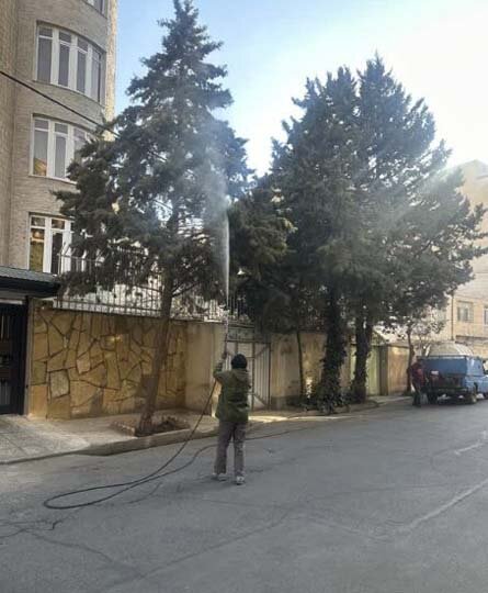 پایان عملیات سمپاشی زمستانه درختان در کرج